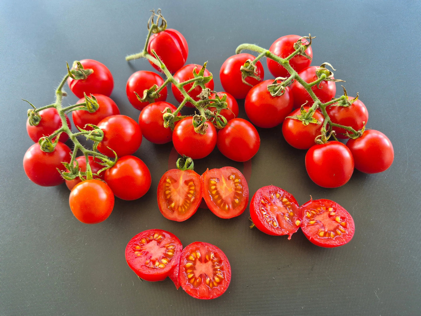 Camp Joy DER TOMATENFLÜSTERER