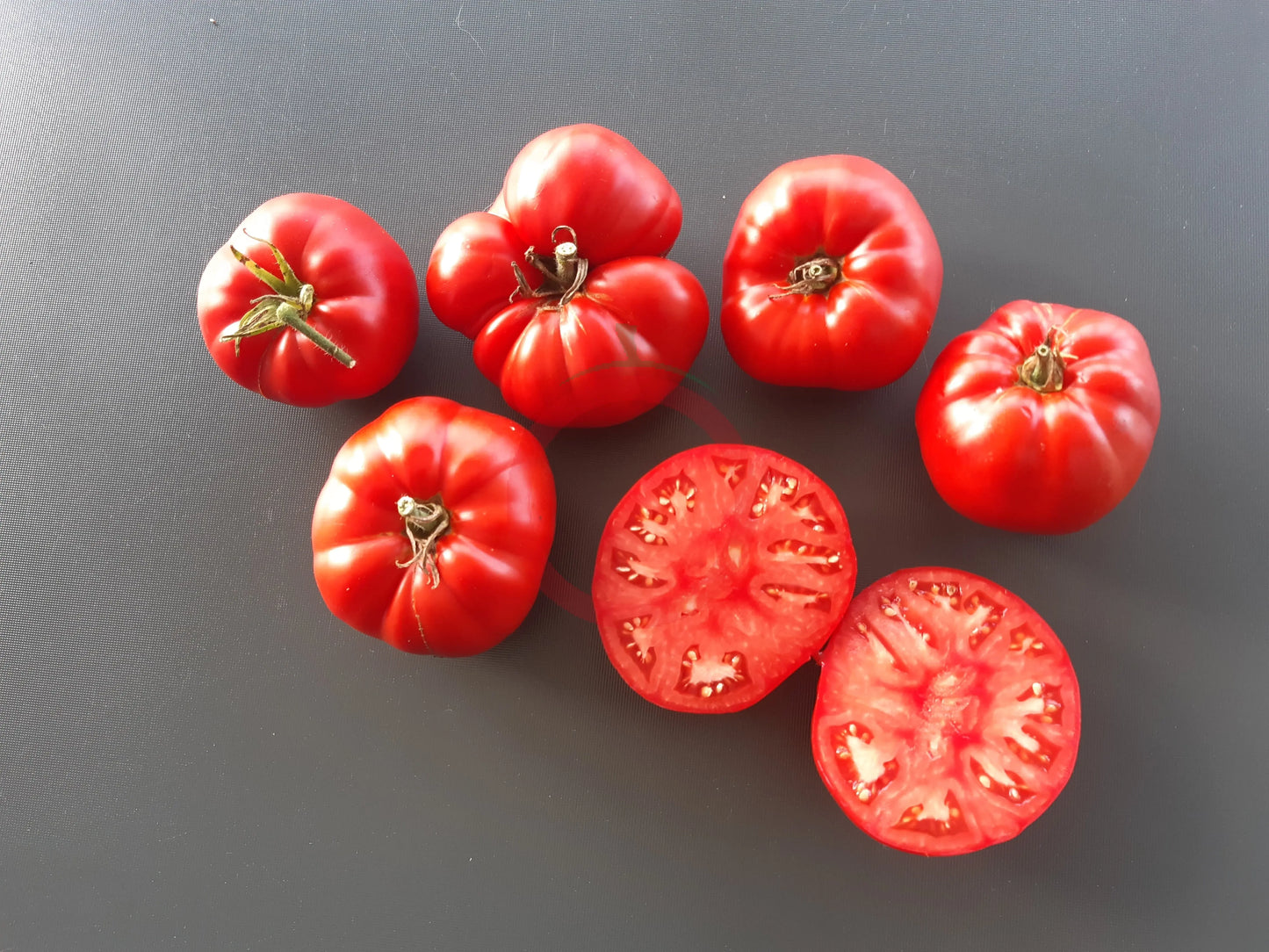 Capricorn DER TOMATENFLÜSTERER