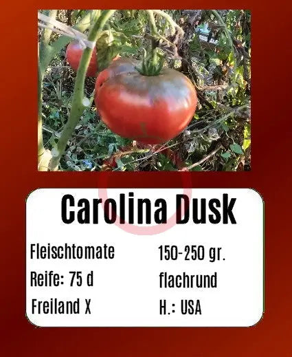 Carolina Dusk DER TOMATENFLÜSTERER