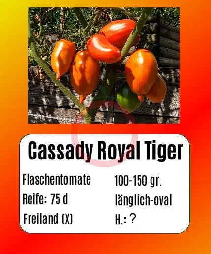 Cassady Royal Tiger DER TOMATENFLÜSTERER