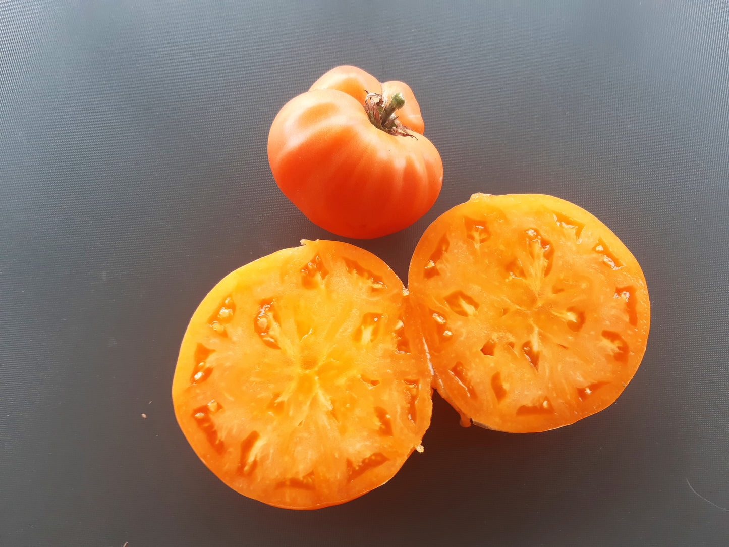 Catwell DER TOMATENFLÜSTERER