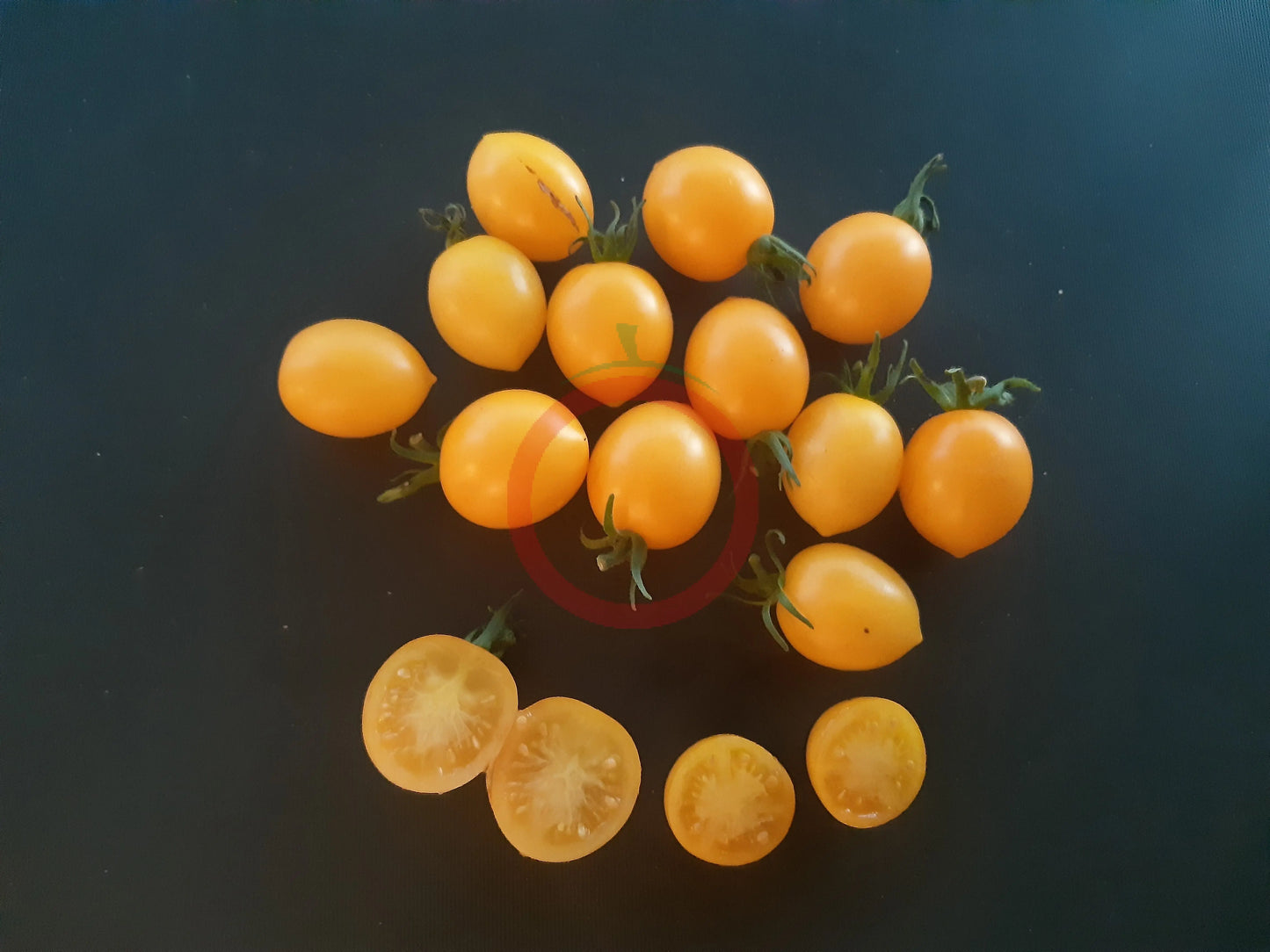 Centiflor Yellow DER TOMATENFLÜSTERER