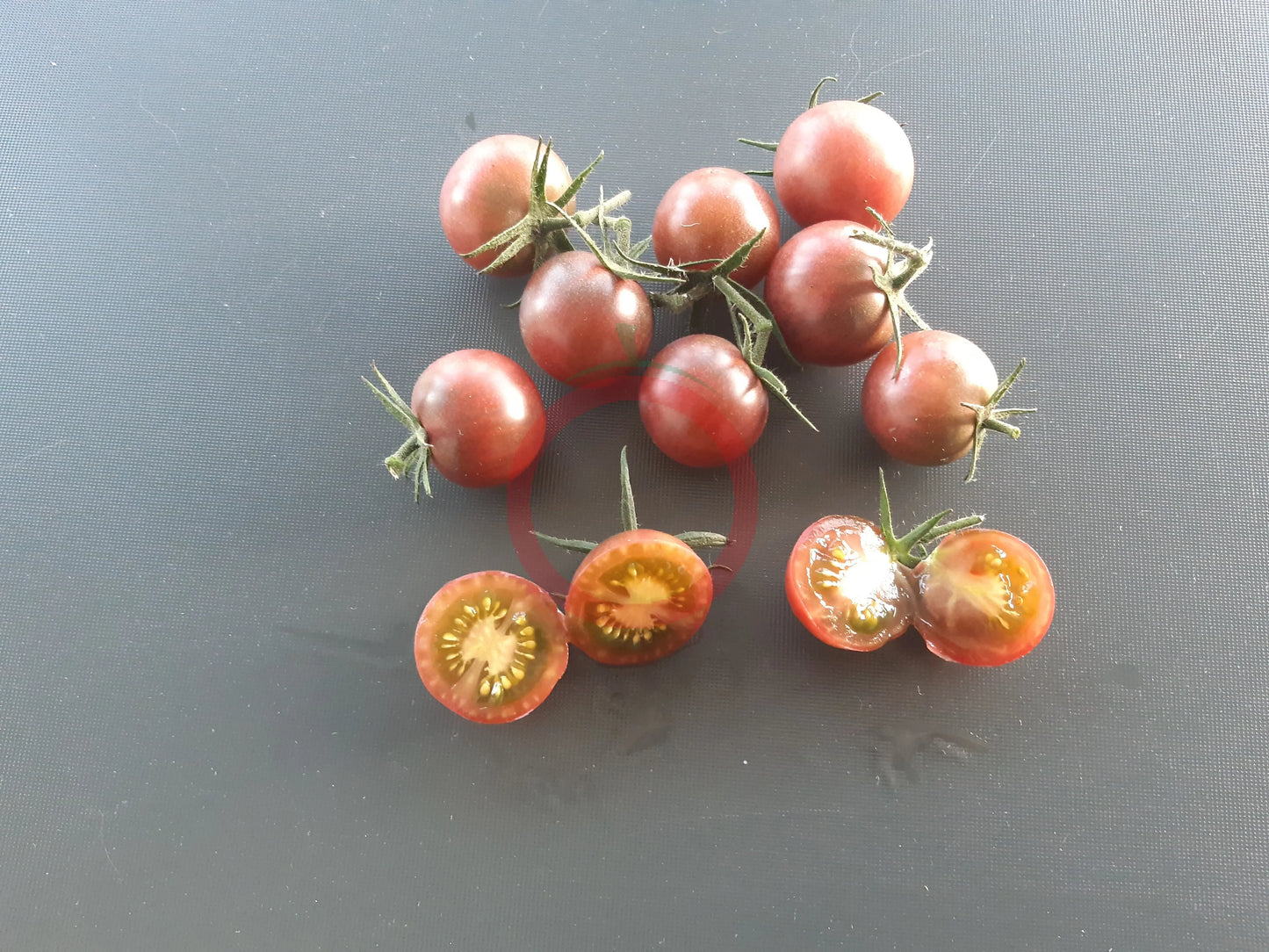 Cerise Noire du Layon DER TOMATENFLÜSTERER