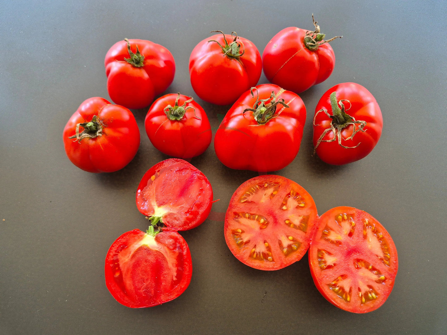 Chalk´s Early Jewel DER TOMATENFLÜSTERER