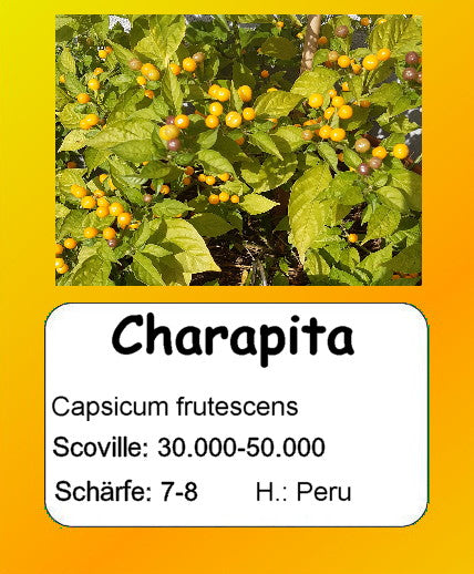 Charapita DER TOMATENFLÜSTERER