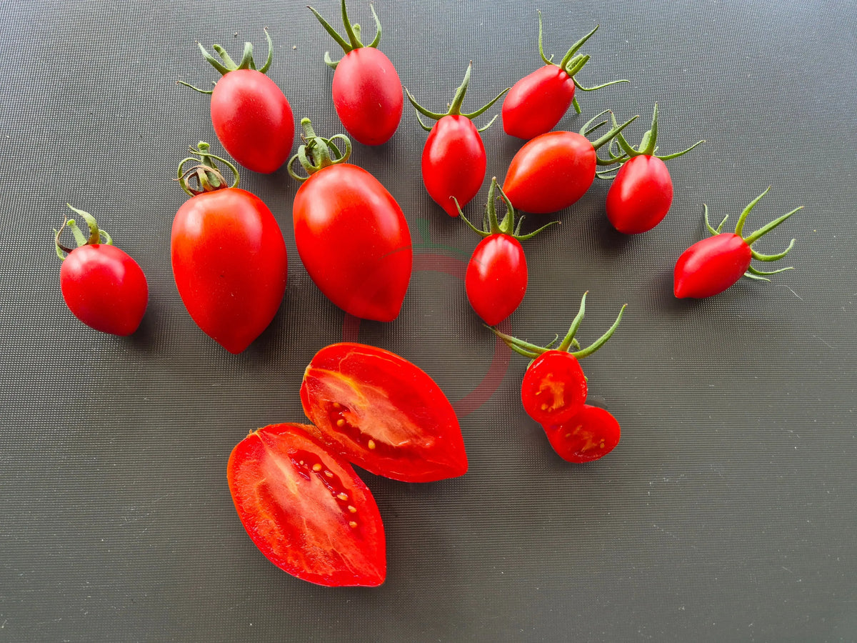 Charlie Scott´s Wartime DER TOMATENFLÜSTERER