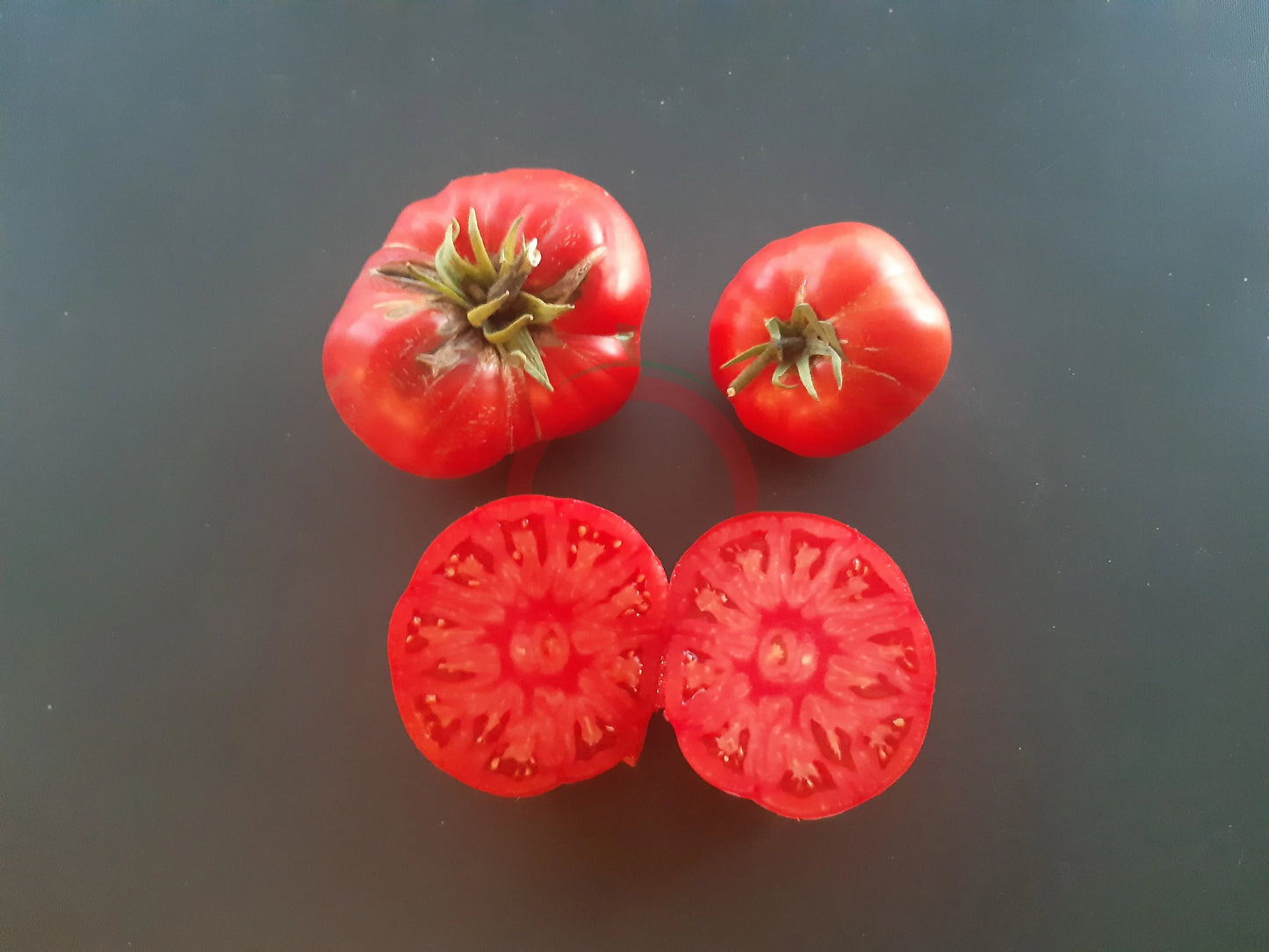 Chateau de Chartres DER TOMATENFLÜSTERER