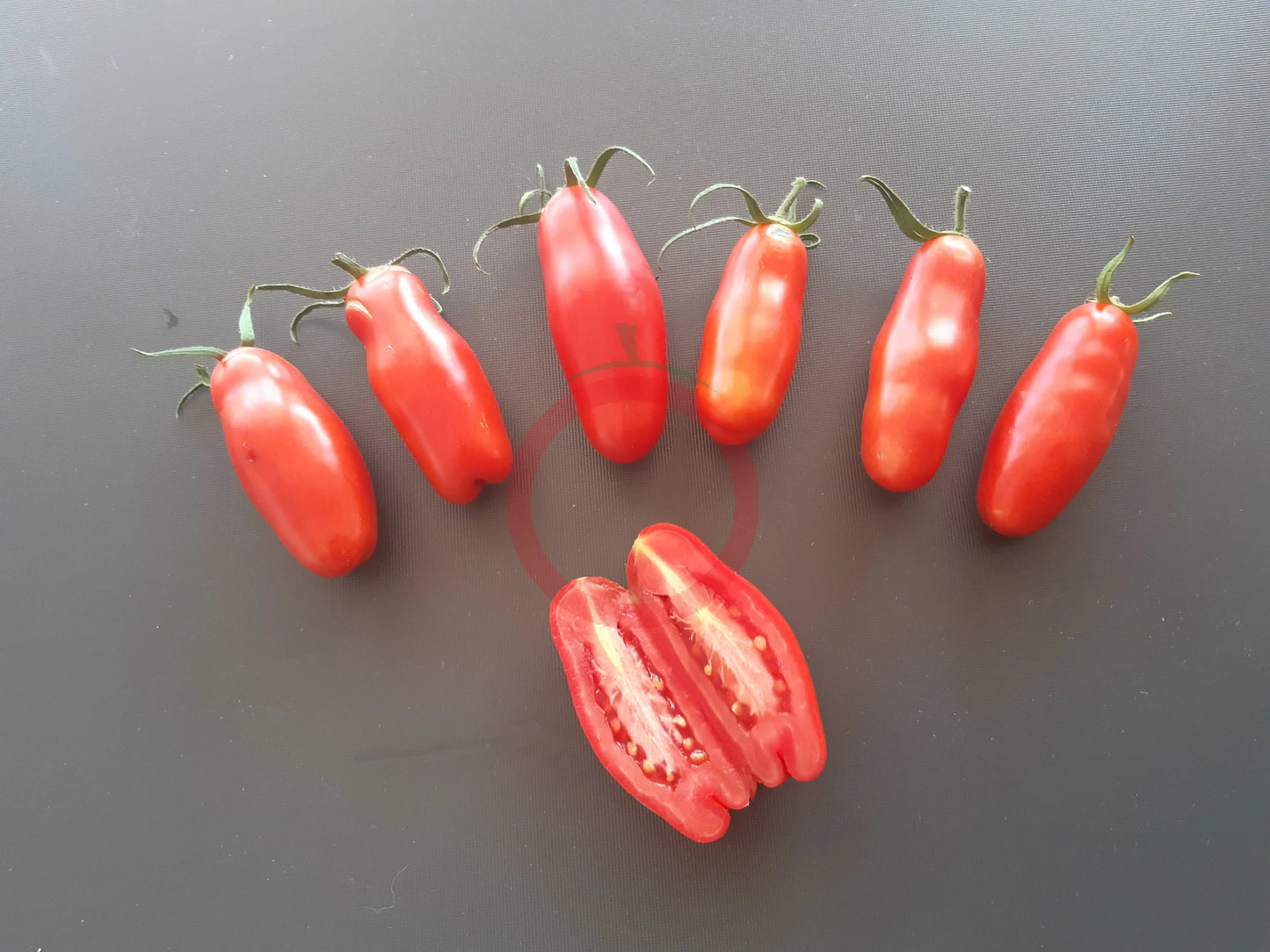 Cherevychky DER TOMATENFLÜSTERER