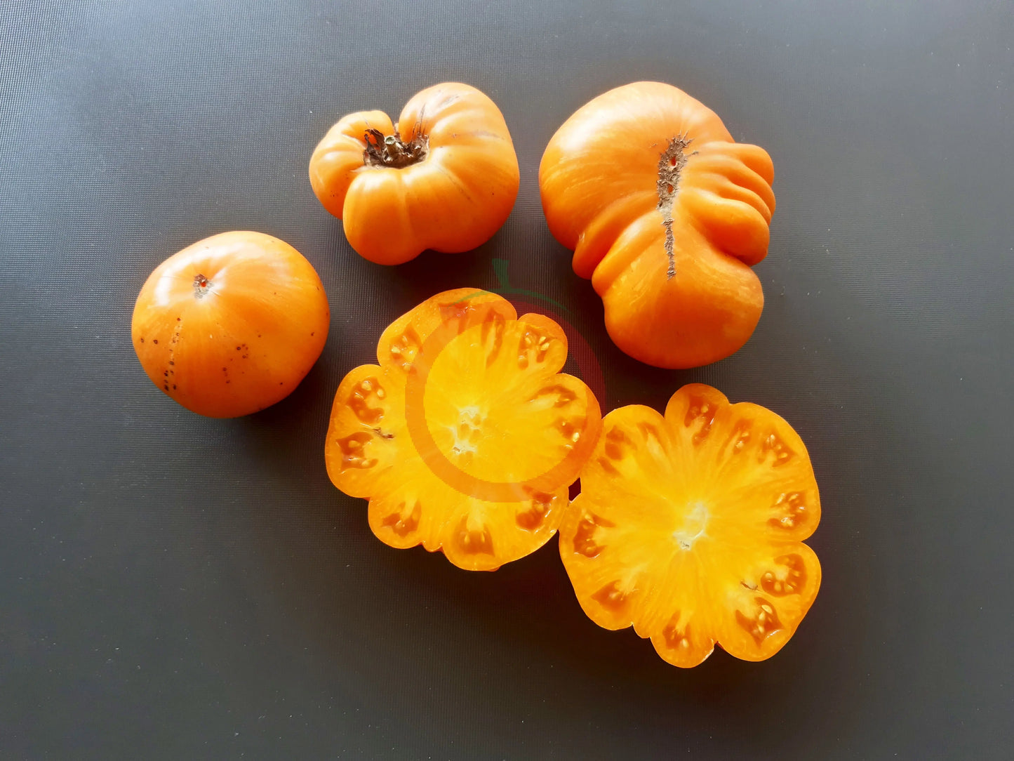 Cherokee Tiger orange DER TOMATENFLÜSTERER