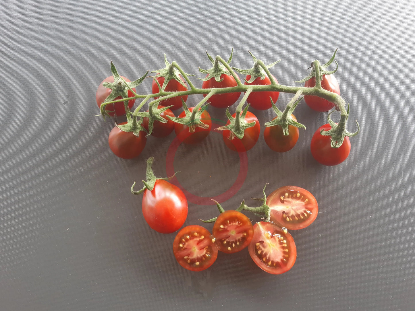 Chocolate Pear DER TOMATENFLÜSTERER