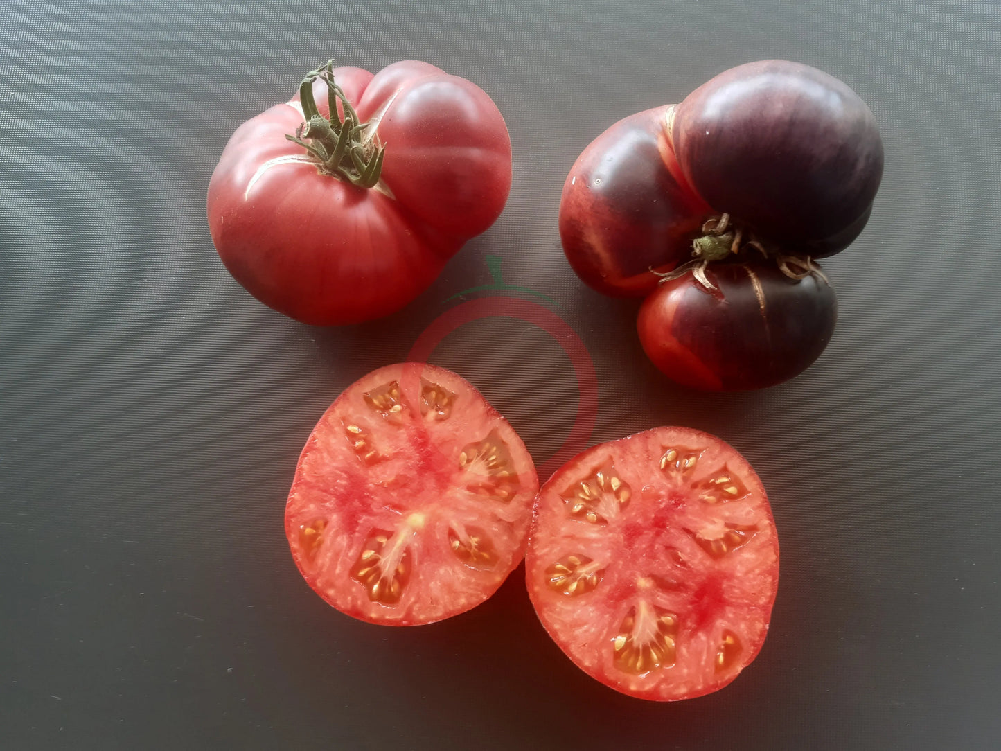 Chupa Chups Rose DER TOMATENFLÜSTERER