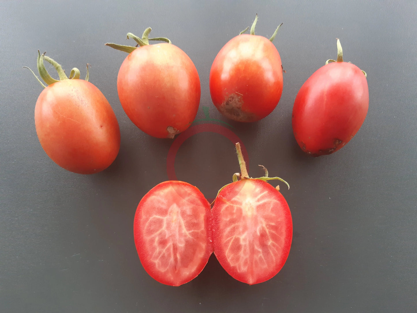 Chuxa de Braga DER TOMATENFLÜSTERER