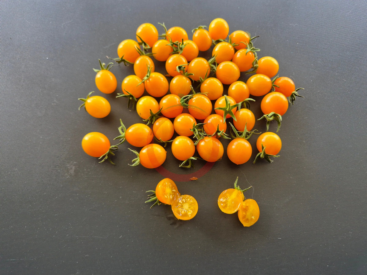 Clementine DER TOMATENFLÜSTERER
