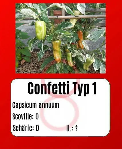 Confetti Typ 1 DER TOMATENFLÜSTERER