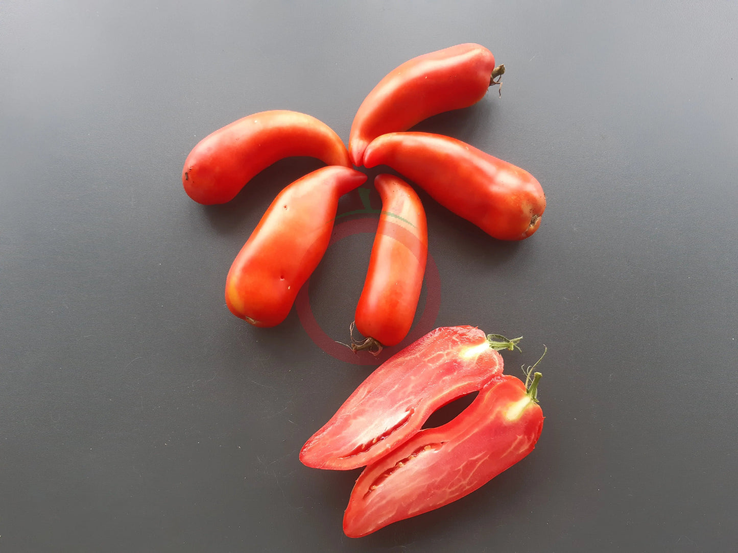 Corne de Belier DER TOMATENFLÜSTERER