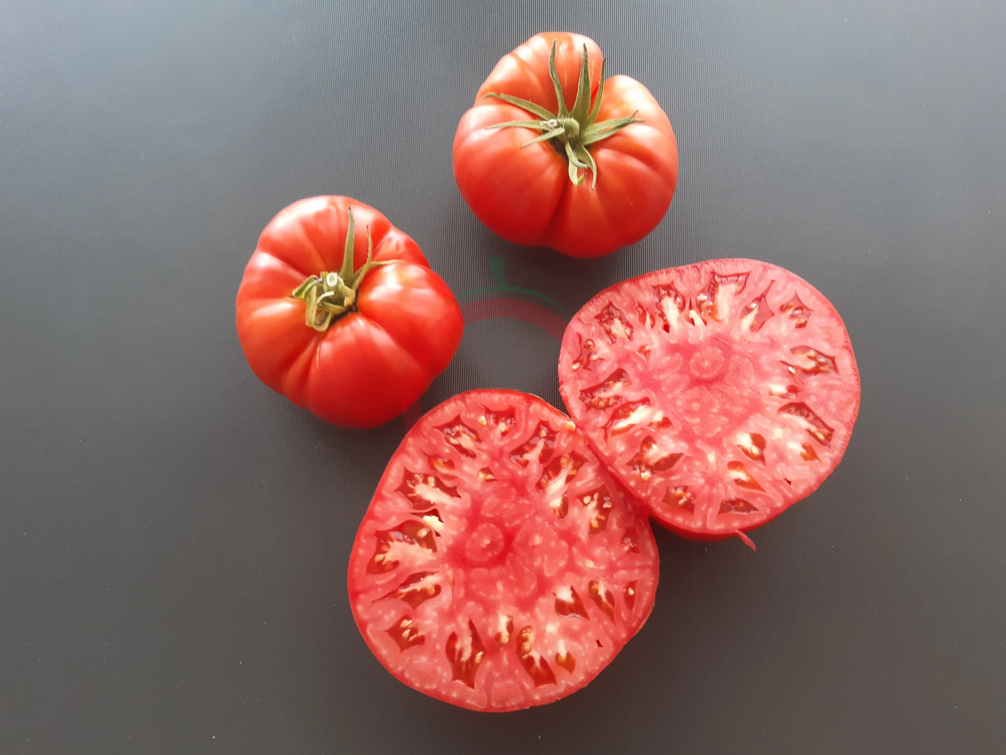 Côte de Saint André DER TOMATENFLÜSTERER