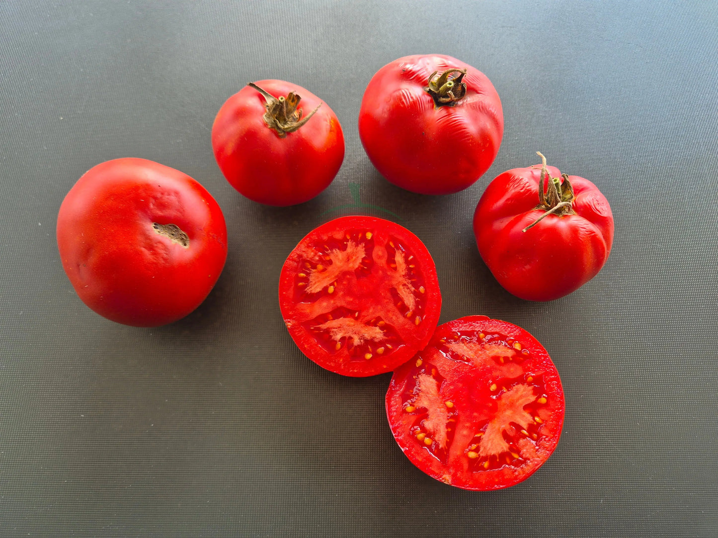 Couille De Taureau DER TOMATENFLÜSTERER