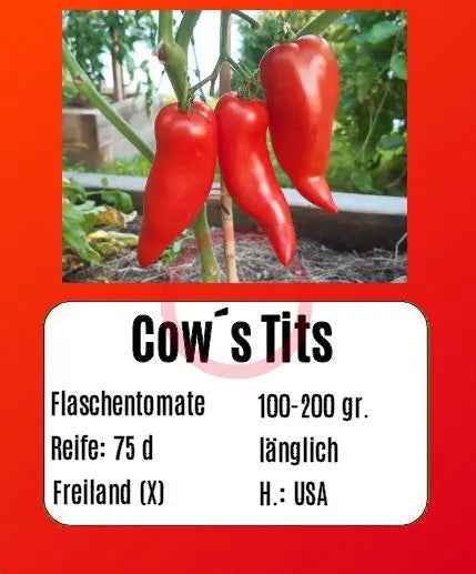 Cow´s Tits DER TOMATENFLÜSTERER