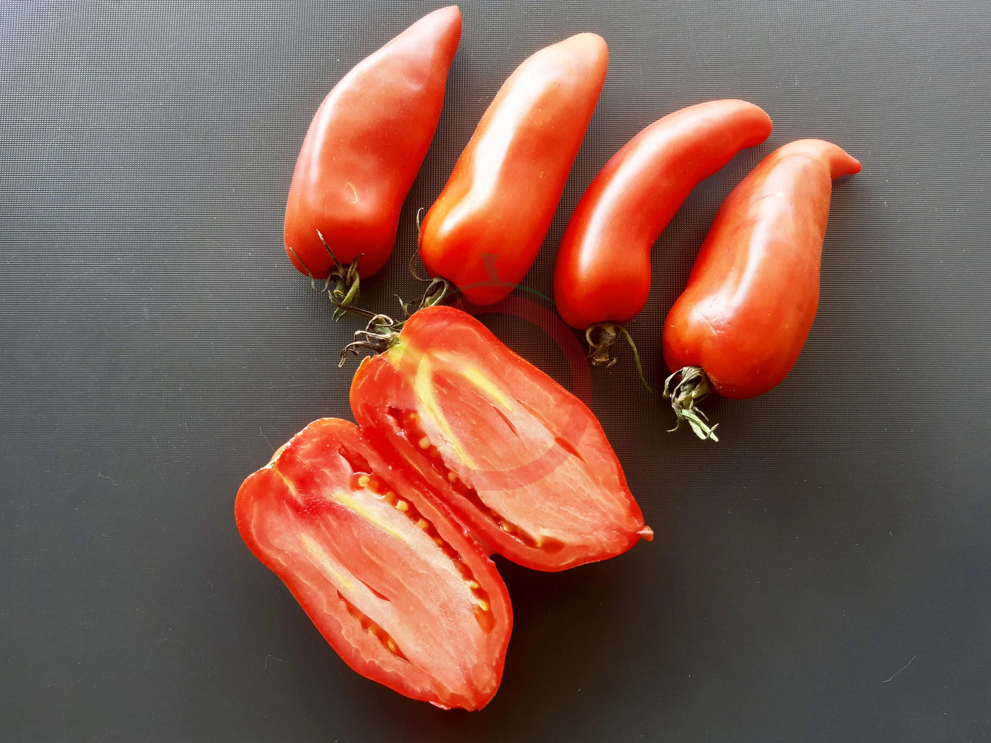 Cow´s Tits DER TOMATENFLÜSTERER