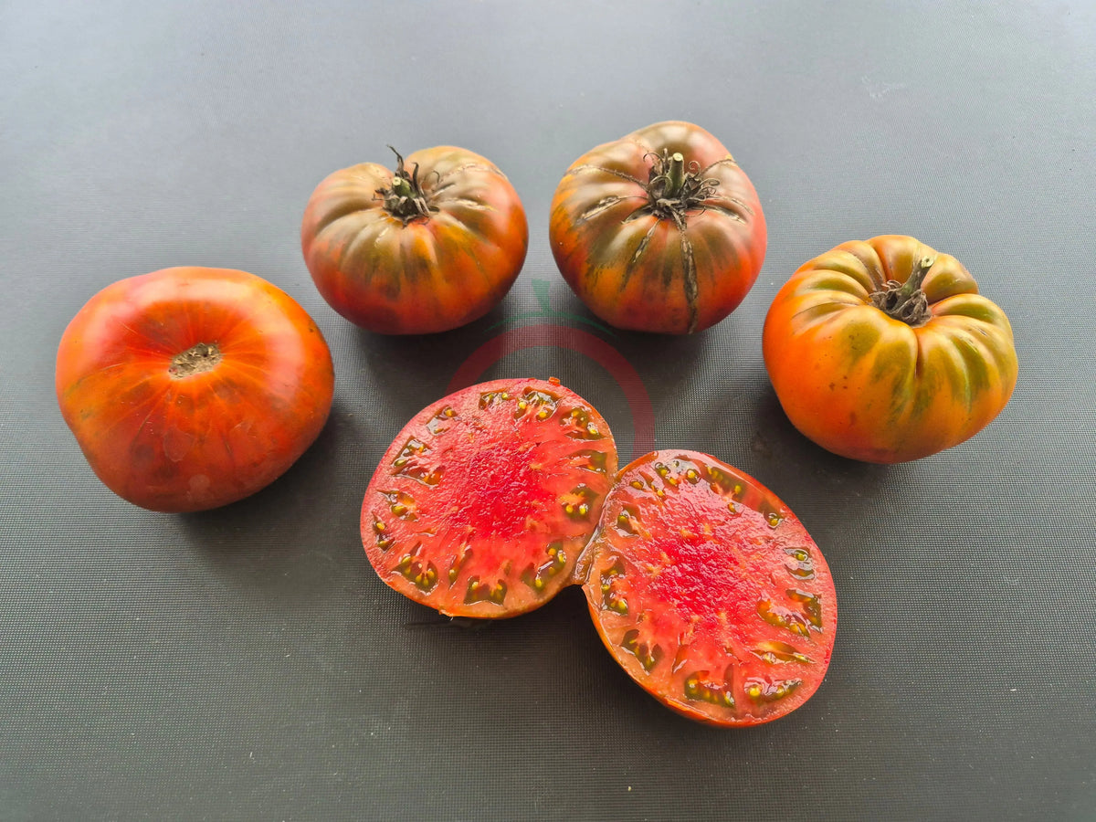 Cowboy DER TOMATENFLÜSTERER