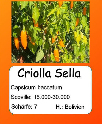 Criolla Sella DER TOMATENFLÜSTERER