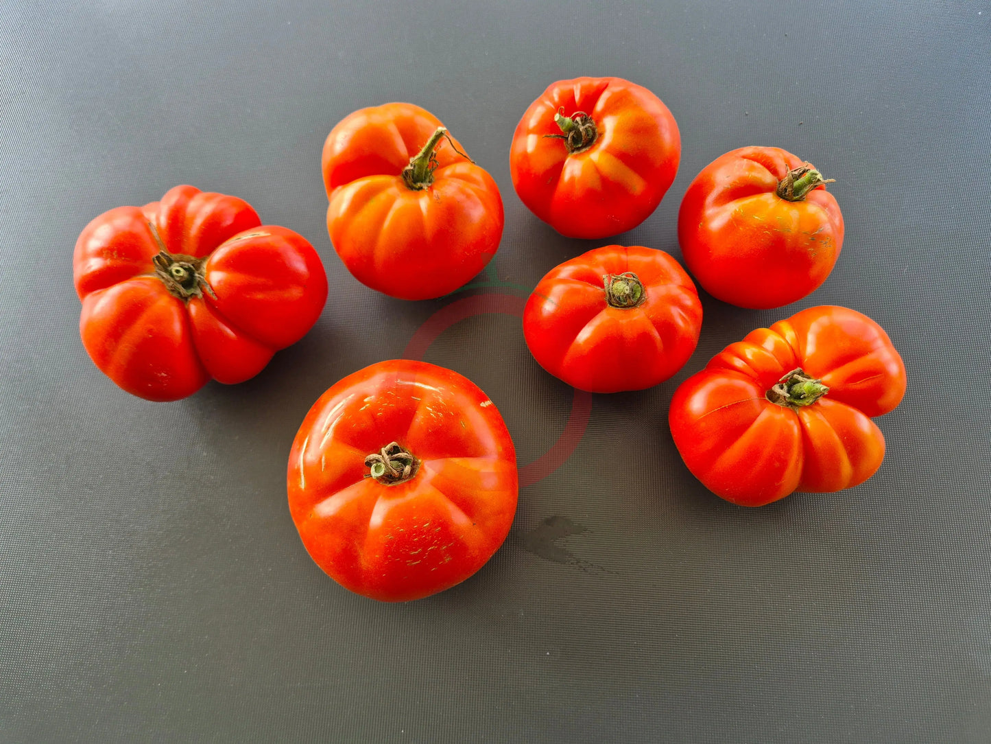 Cuarentena DER TOMATENFLÜSTERER