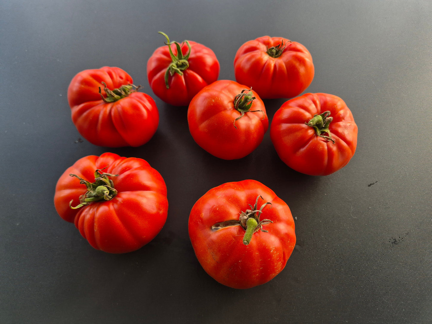 Cuostralée DER TOMATENFLÜSTERER