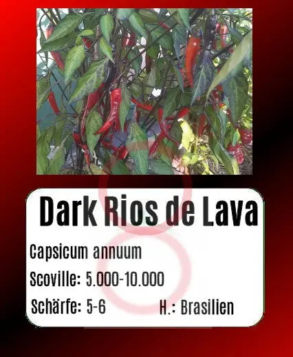 Dark Rios De Lava DER TOMATENFLÜSTERER