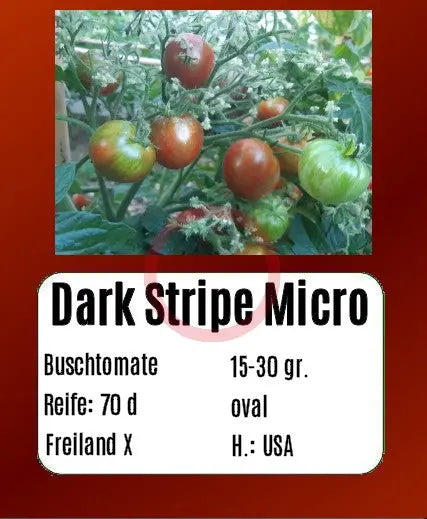 Dark Stripe Micro DER TOMATENFLÜSTERER