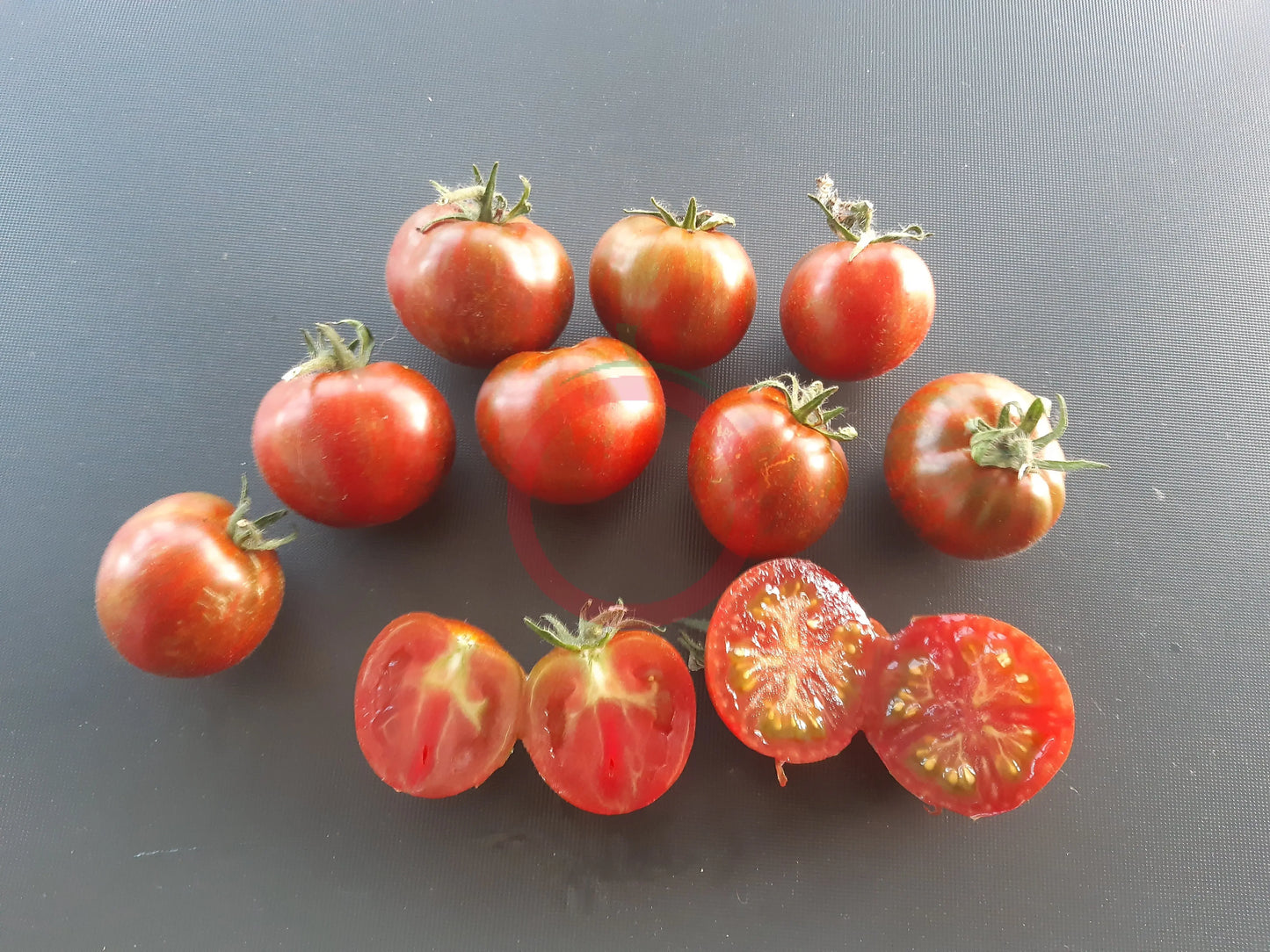 Dark Stripe Micro DER TOMATENFLÜSTERER