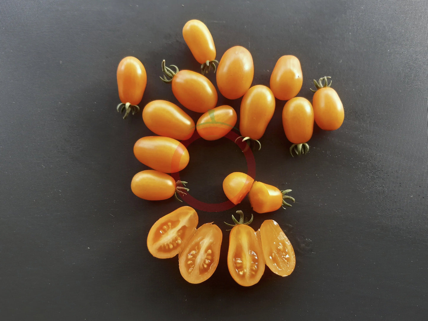 Datterino Arancione DER TOMATENFLÜSTERER