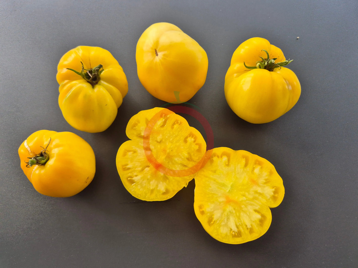 David´s Ivory Pineapple DER TOMATENFLÜSTERER