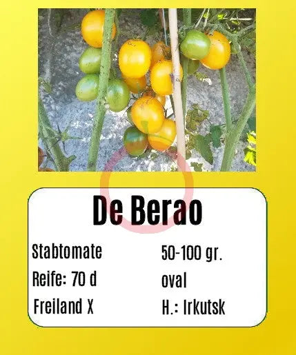 De Berao gelb DER TOMATENFLÜSTERER