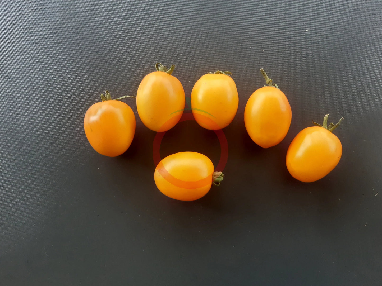 De Berao gelb DER TOMATENFLÜSTERER