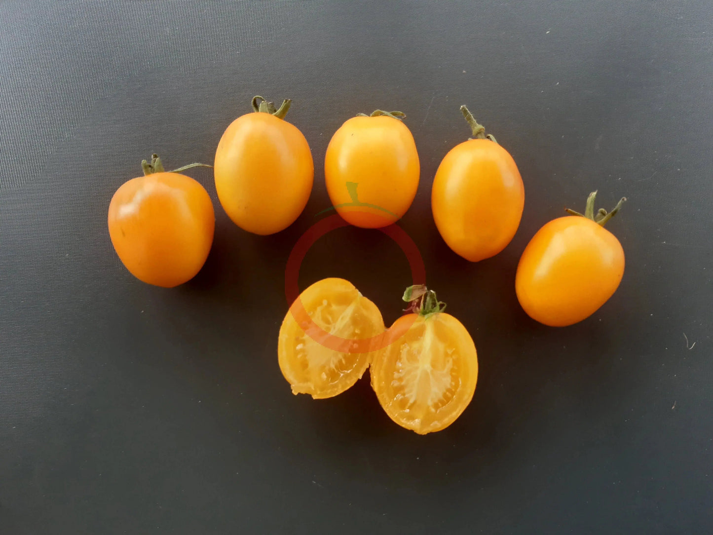 De Berao gelb DER TOMATENFLÜSTERER