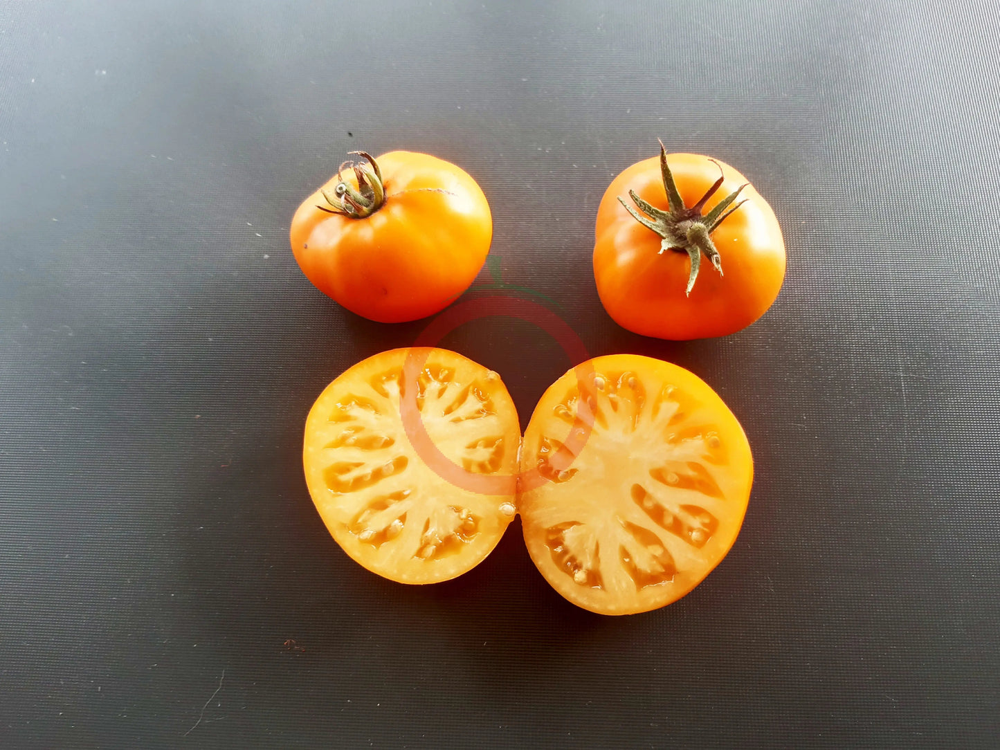 Dirty Little Chicken DER TOMATENFLÜSTERER