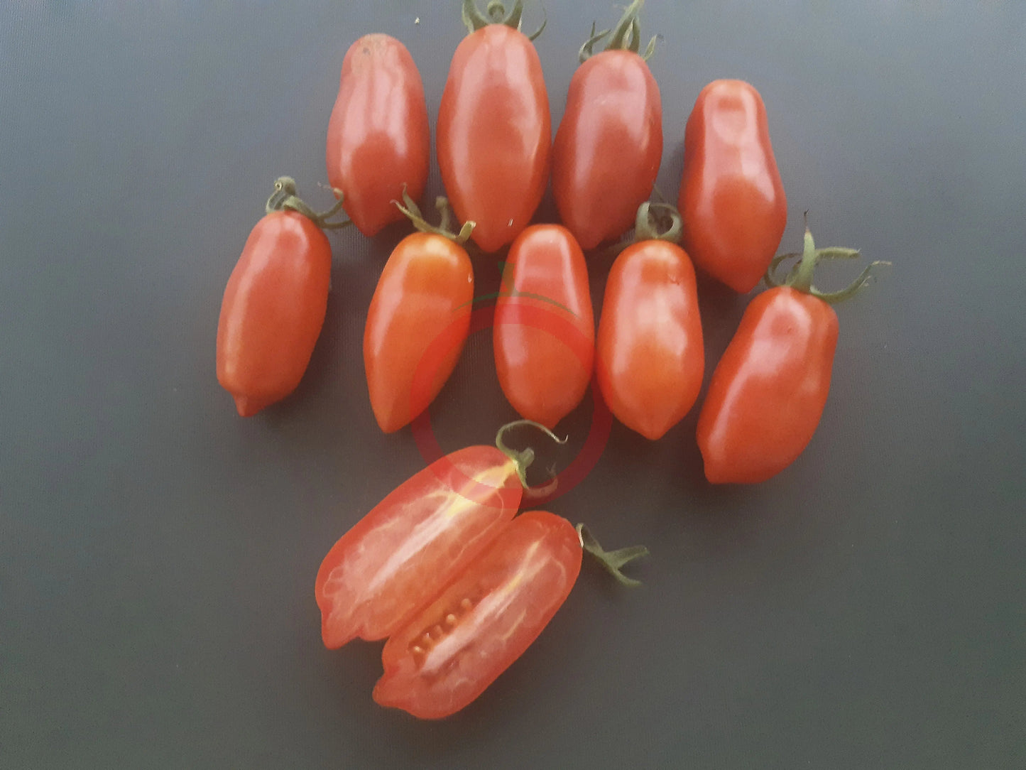 Dix Doigts de Naples DER TOMATENFLÜSTERER