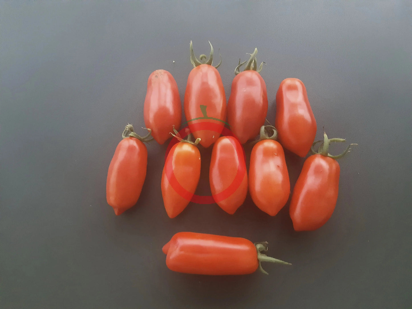 Dix Doigts de Naples DER TOMATENFLÜSTERER