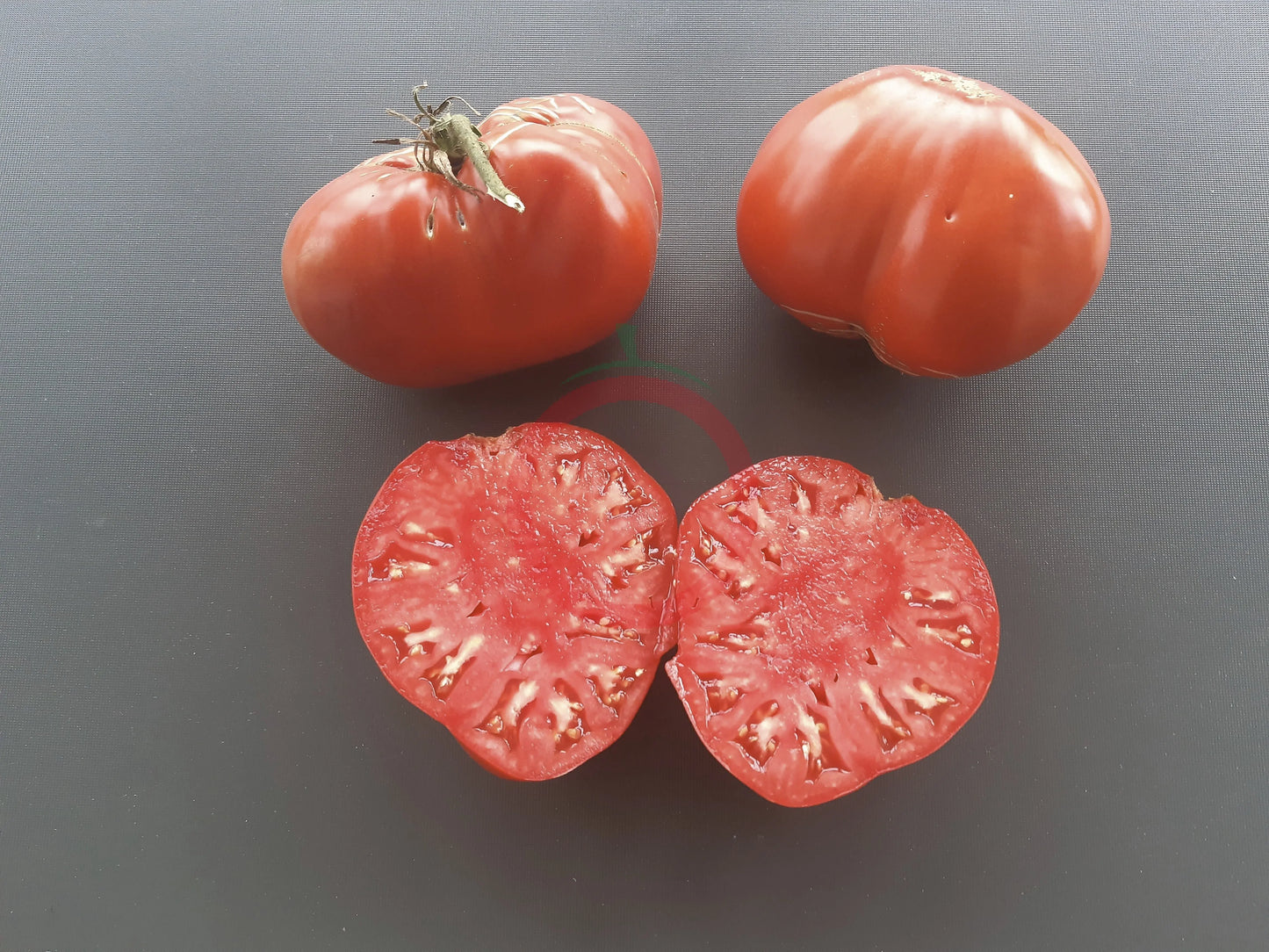 Domaca Teta Katica DER TOMATENFLÜSTERER