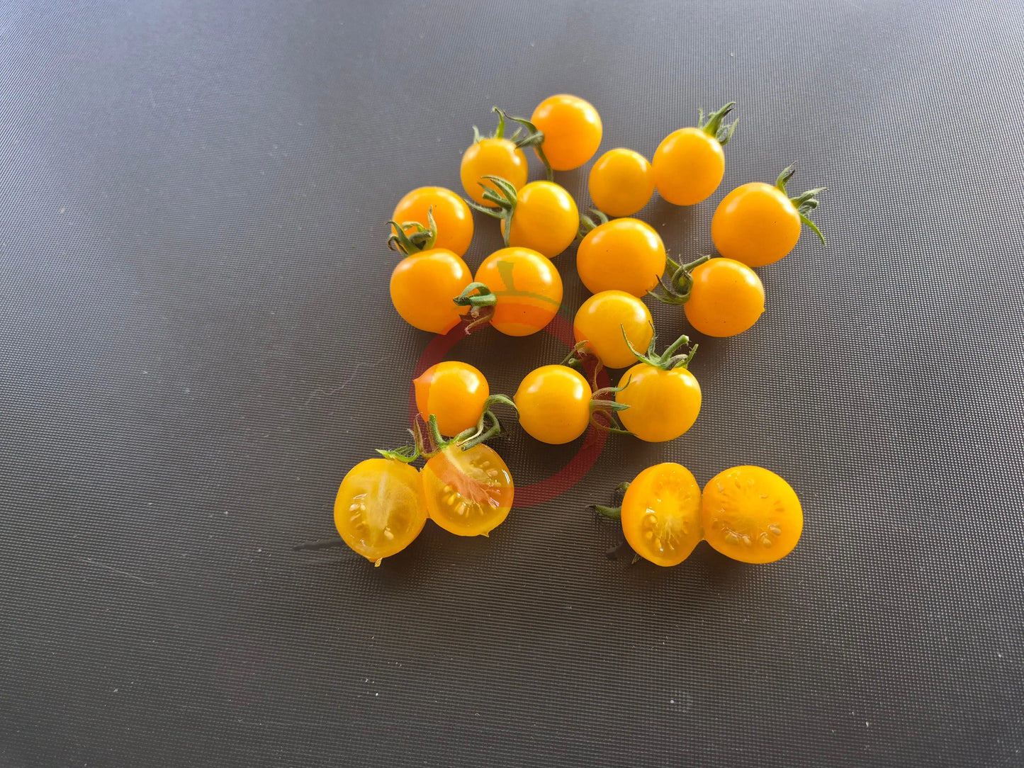Dwarf Eagle Smiley DER TOMATENFLÜSTERER