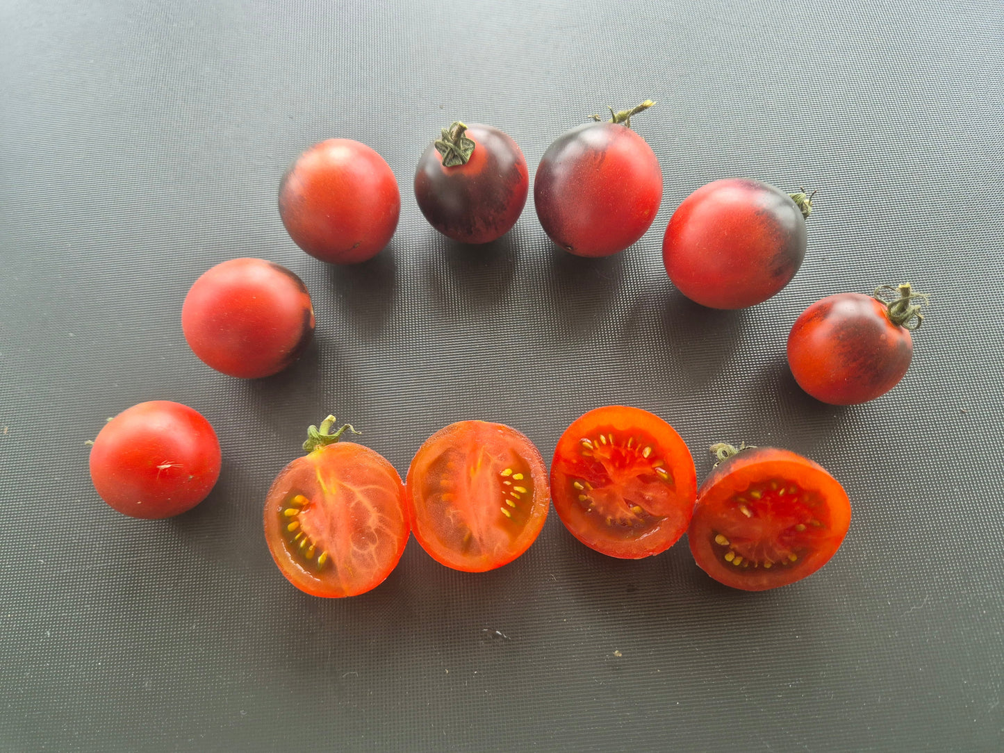 Dwarf Mocha Cherry DER TOMATENFLÜSTERER