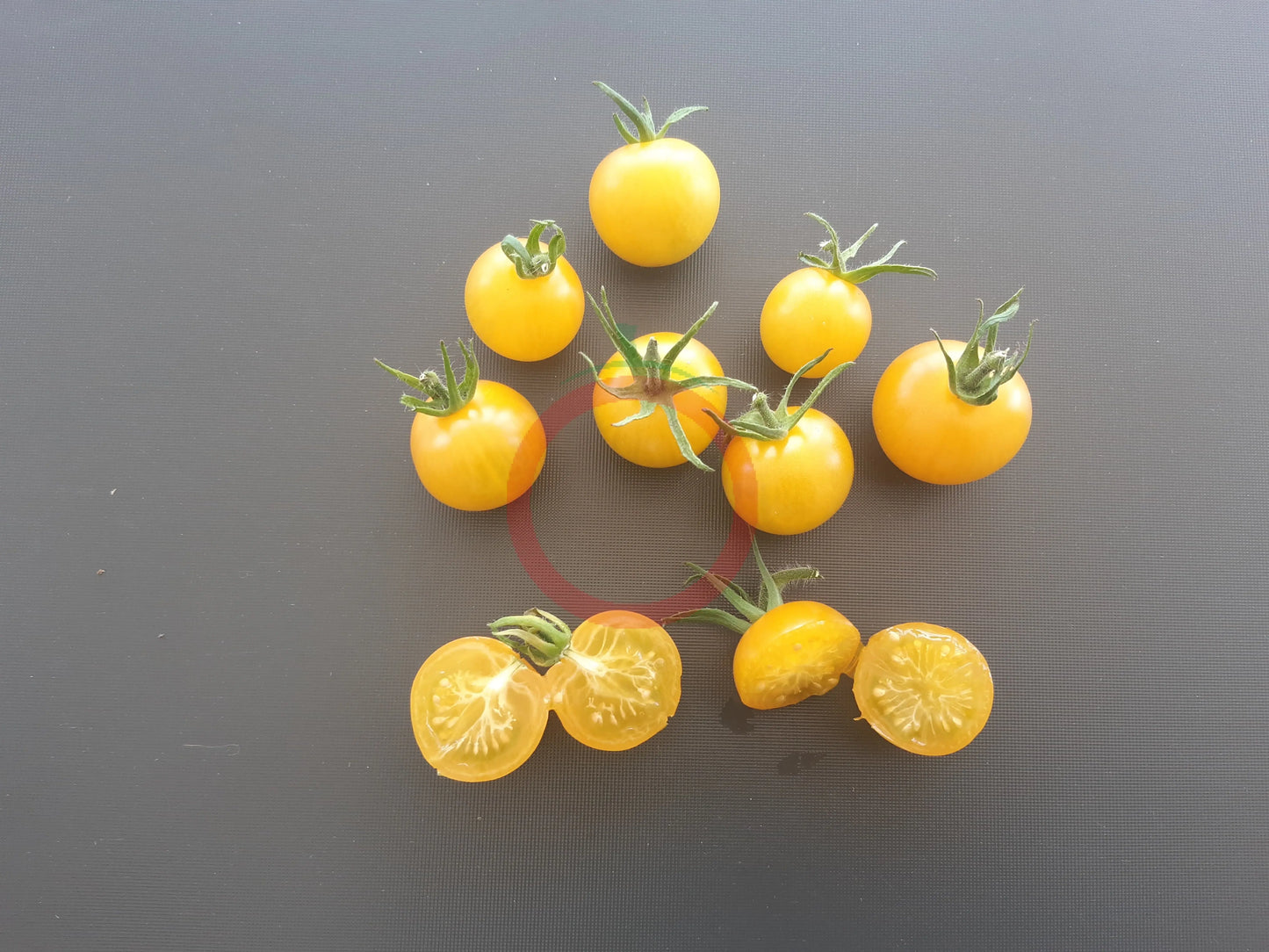 Egg Yolk DER TOMATENFLÜSTERER