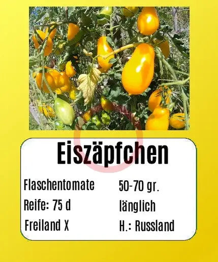 Eiszäpfchen DER TOMATENFLÜSTERER
