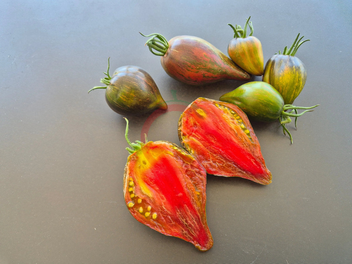Elena's Emerald Caramel DER TOMATENFLÜSTERER