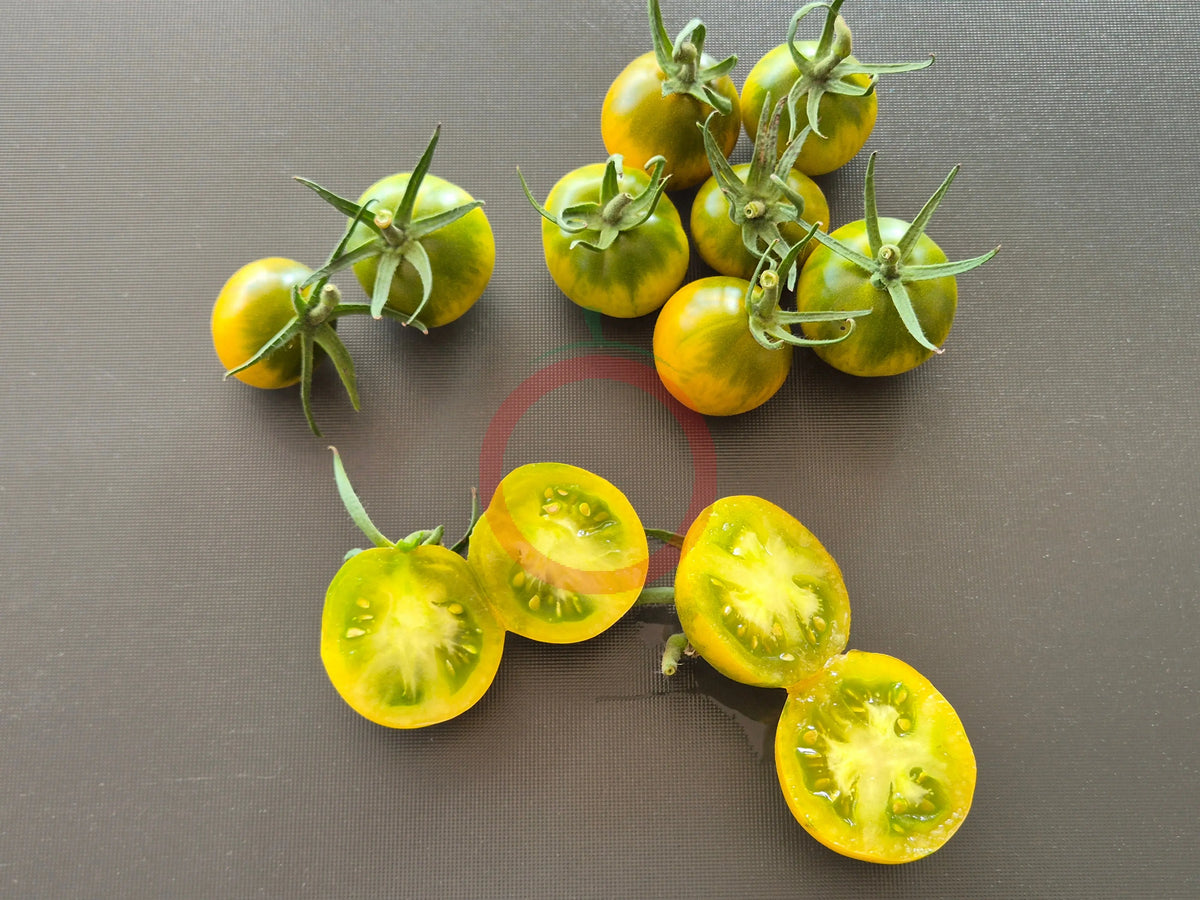 Esmeralda Golosina DER TOMATENFLÜSTERER
