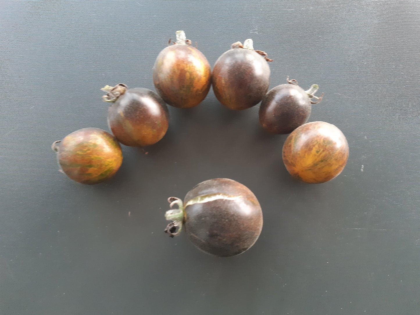 Extravagante Rouffiange DER TOMATENFLÜSTERER