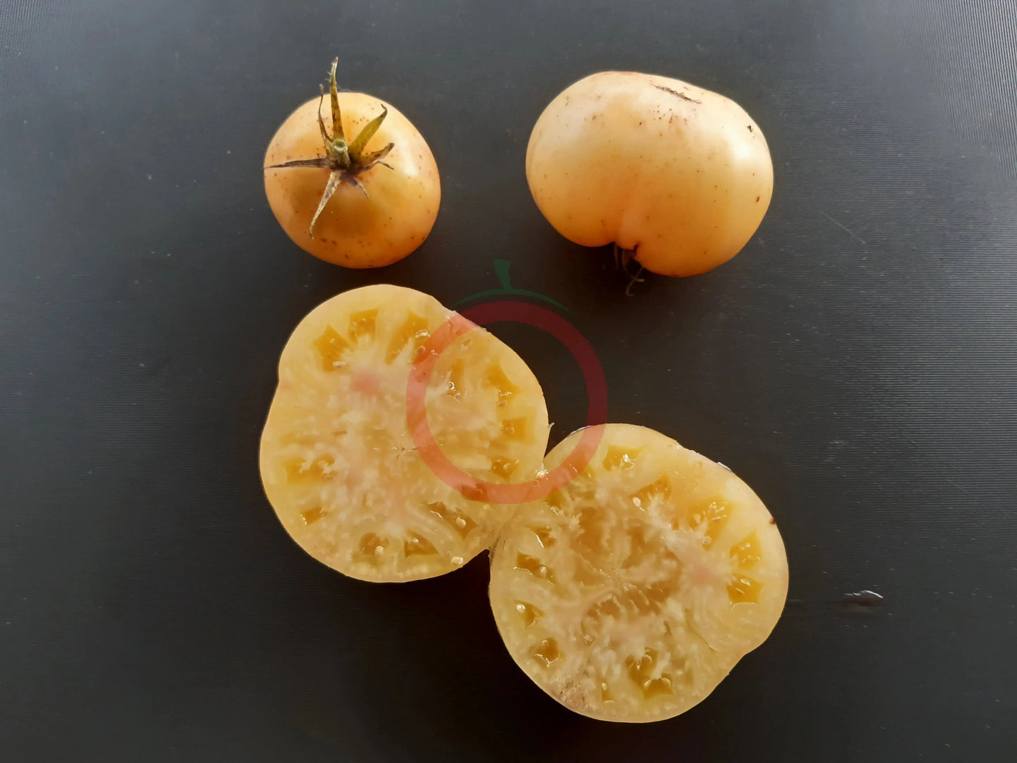 Fantome du Laos DER TOMATENFLÜSTERER