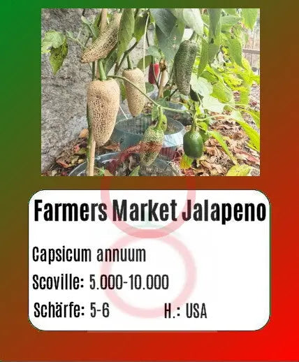 Farmers Market Jalapeno DER TOMATENFLÜSTERER