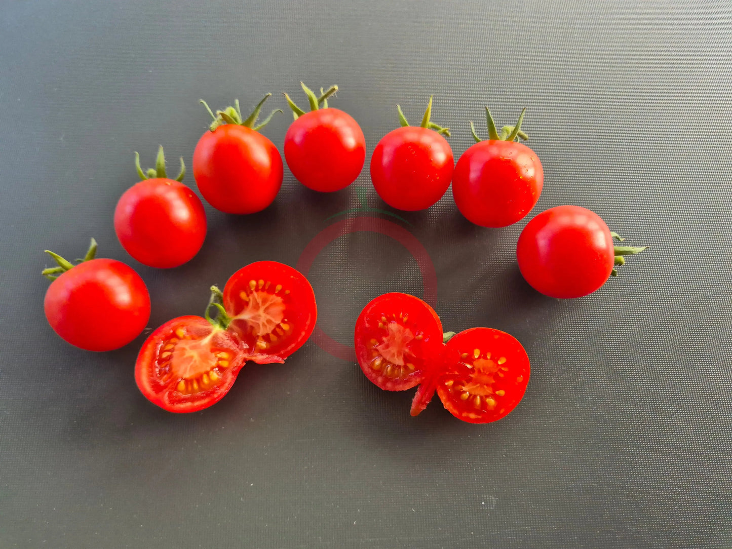 Fence Row Cherry DER TOMATENFLÜSTERER