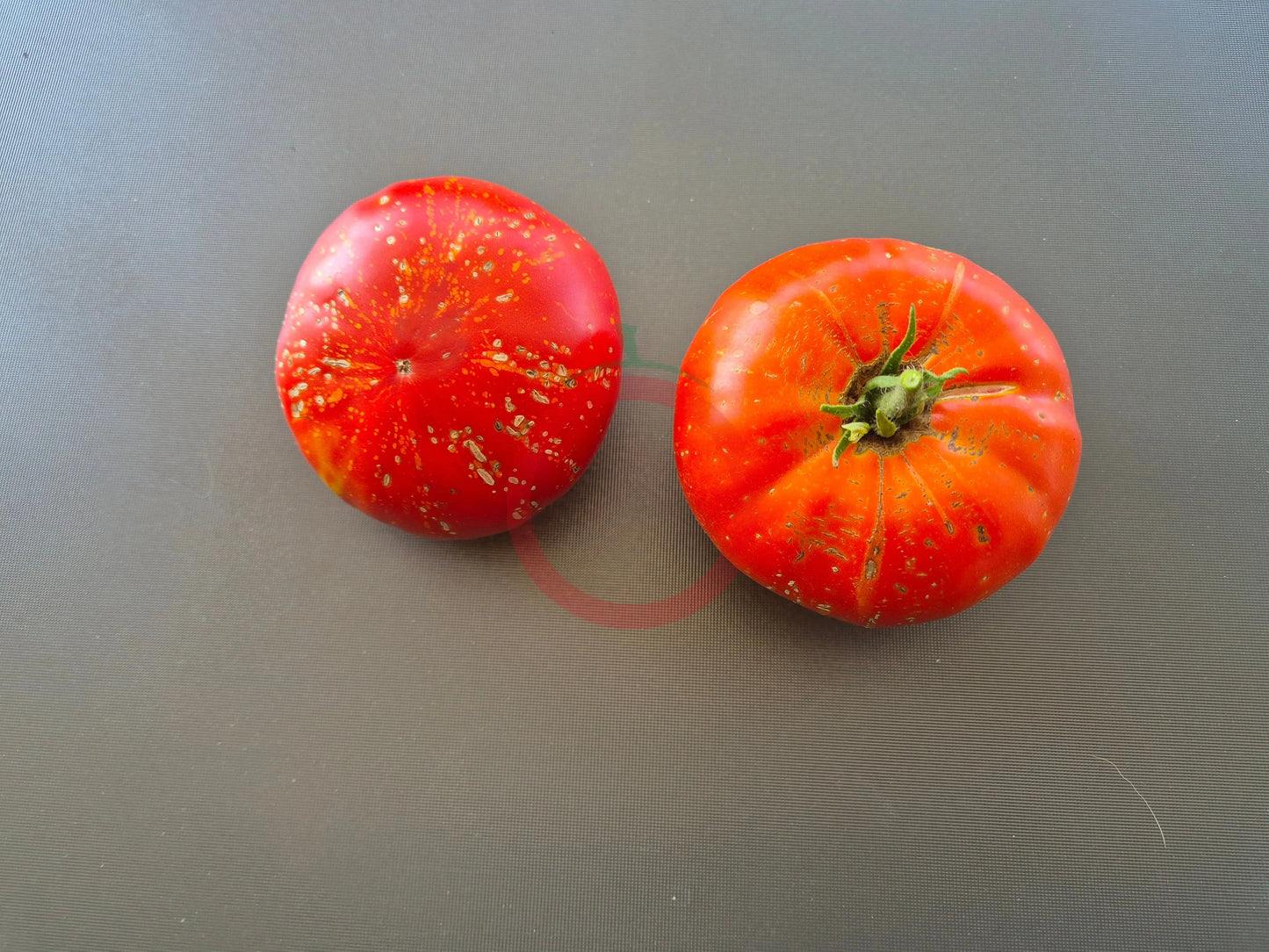 Feuerwerk DER TOMATENFLÜSTERER